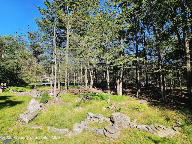 55 Lyman Ln, Gouldsboro, PA 18424 - view of yard