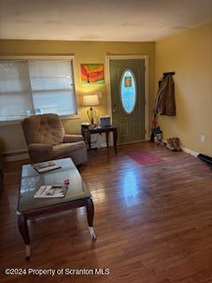 living room featuring dark wood-type flooring