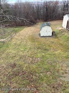 view of yard with a shed and an outdoor structure