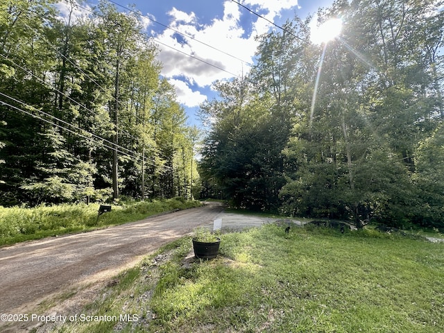374 Fork Mountain Rd, Equinunk, PA 18417 - photo 52