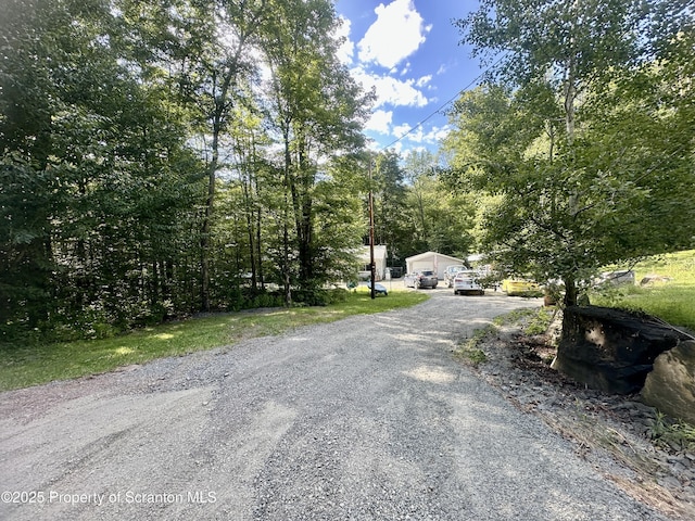 374 Fork Mountain Rd, Equinunk, PA 18417 - photo 5