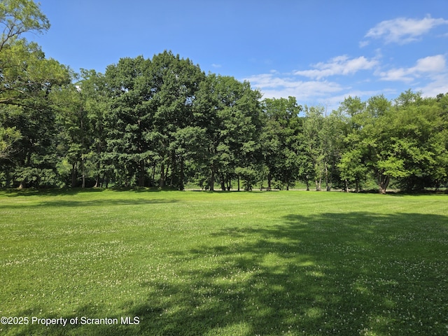 329 Dunays Pl, Tunkhannock, PA 18657 - photo 11