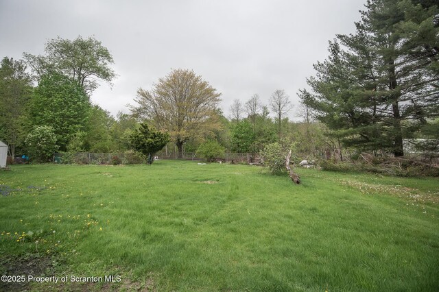 199 1/2 Rear Gordon Ave, Carbondale, PA 18407 - photo 11