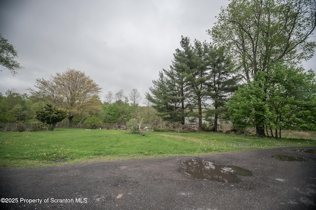 199 1/2 Rear Gordon Ave, Carbondale, PA 18407 - photo 12