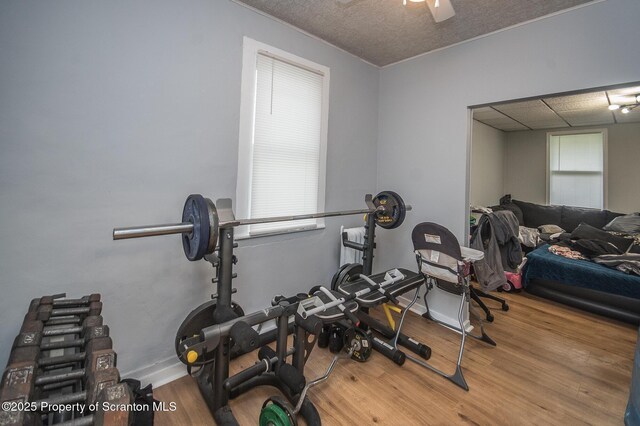 199 1/2 Rear Gordon Ave, Carbondale, PA 18407 - photo 22