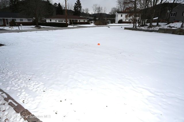 view of snowy yard