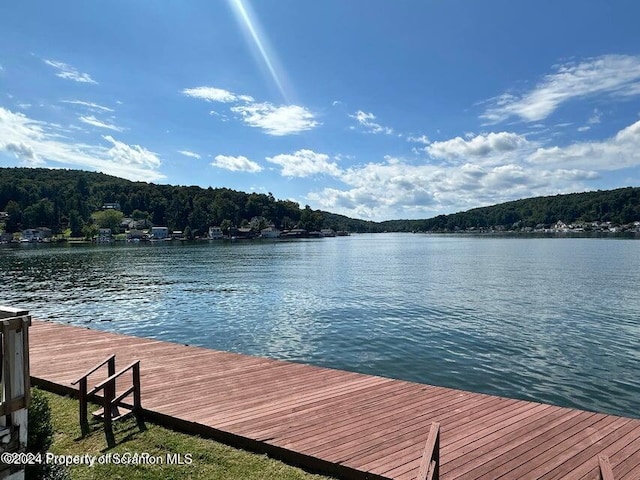 dock area with a water view