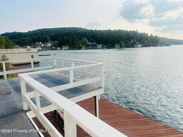 dock area featuring a water view