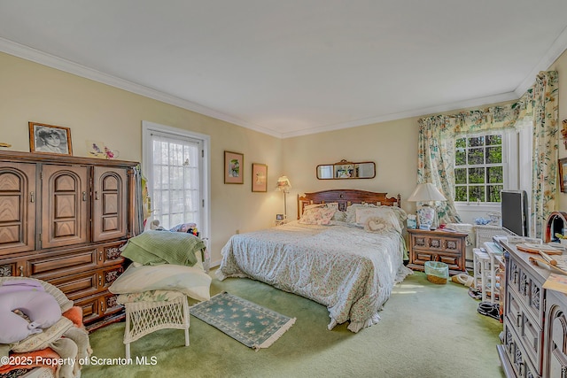 bedroom with crown molding, multiple windows, and carpet flooring