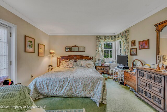 bedroom with carpet flooring and ornamental molding
