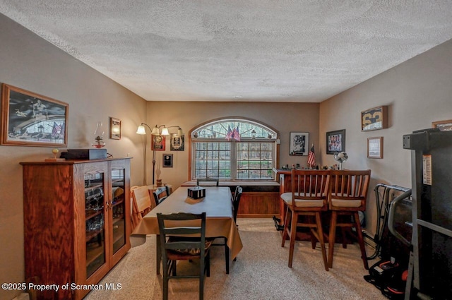37 S Lehigh River Dr, Clifton Twp, PA 18424 - dining room with a textured ceiling and light colored carpet