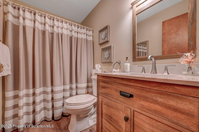 37 S Lehigh River Dr, Clifton Twp, PA 18424 - bathroom featuring toilet, vanity, wood finished floors, and curtained shower