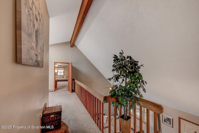 37 S Lehigh River Dr, Clifton Twp, PA 18424 - hallway featuring carpet flooring