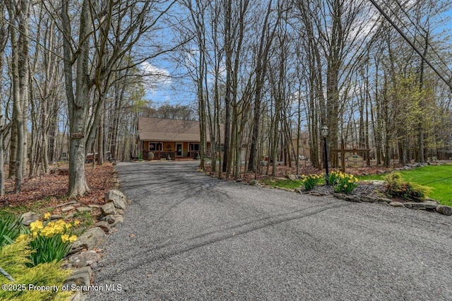 37 S Lehigh River Dr, Clifton Twp, PA 18424 - view of asphalt driveway featuring street lights