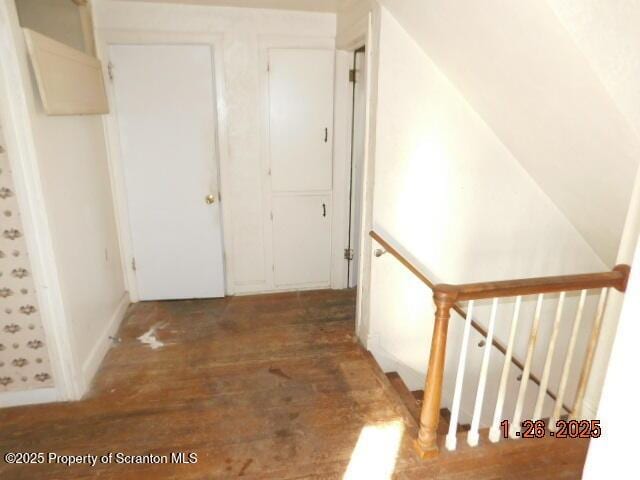 hallway featuring dark wood-type flooring