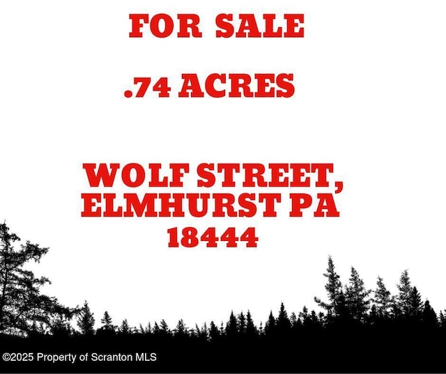 Wolf St, Elmhurst PA, 18444 land for sale