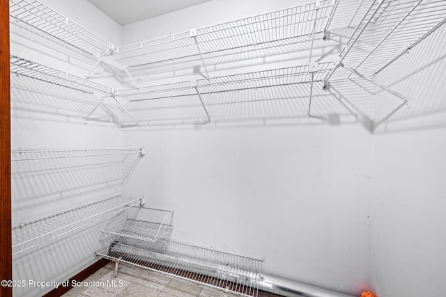 609 Landmesser Ave, West Hazleton, PA 18202 - view of spacious closet