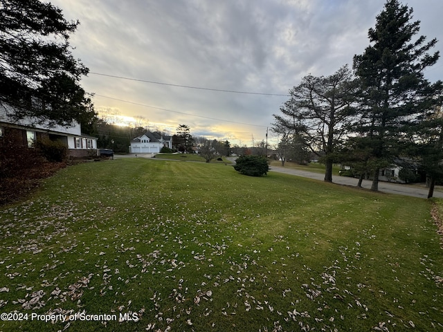 view of yard at dusk