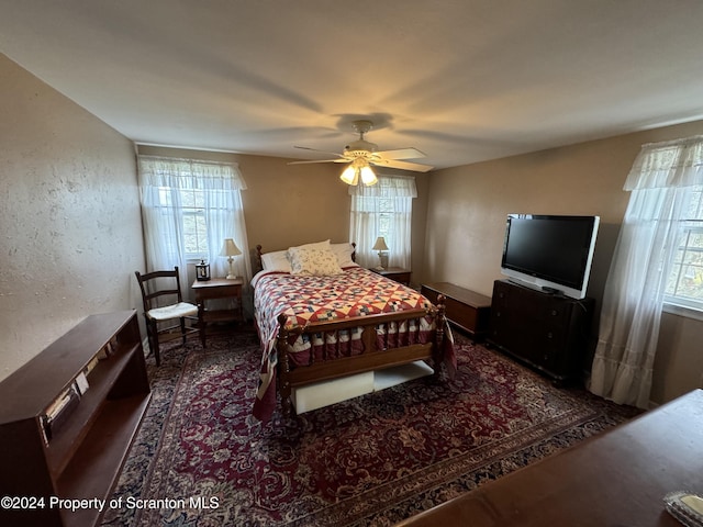 bedroom with multiple windows and ceiling fan