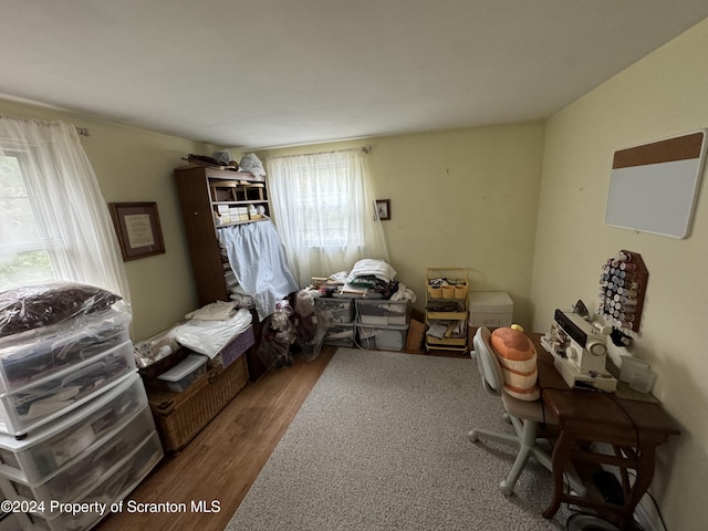 miscellaneous room featuring wood-type flooring