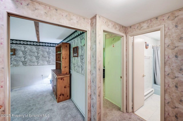 7319 Moss Dr, Swiftwater, PA 18370 - photo 46