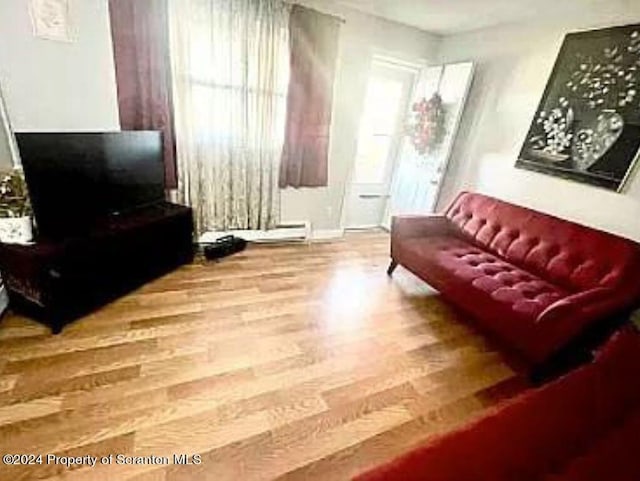 living room featuring plenty of natural light and wood-type flooring