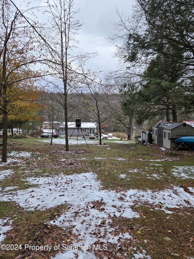 view of yard covered in snow