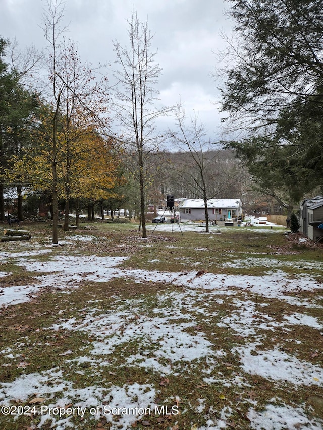 view of yard covered in snow