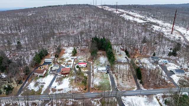 view of snowy aerial view