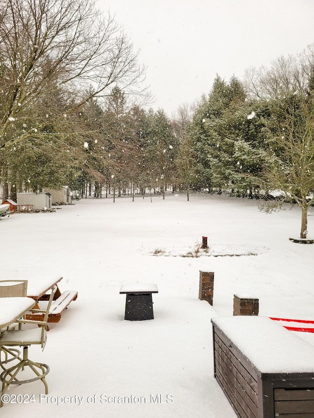 view of yard covered in snow