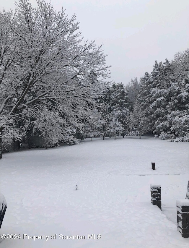 view of yard layered in snow