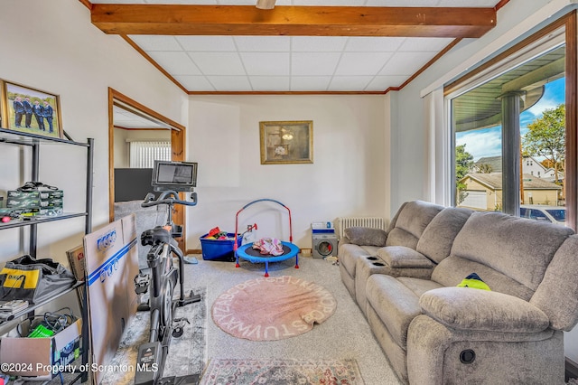 living room with carpet and beamed ceiling