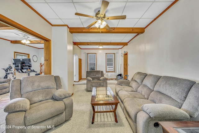 living room with carpet, ceiling fan, and a drop ceiling