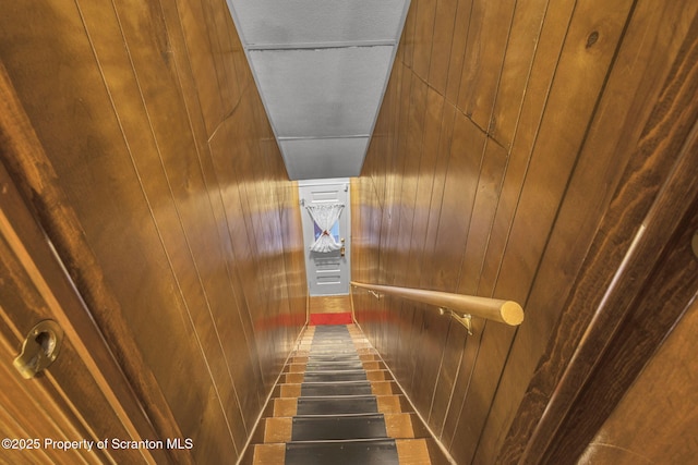 stairs with wooden walls