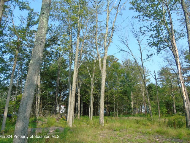 LOT3141 Birch St, Spring Brook Twp PA, 18444 land for sale