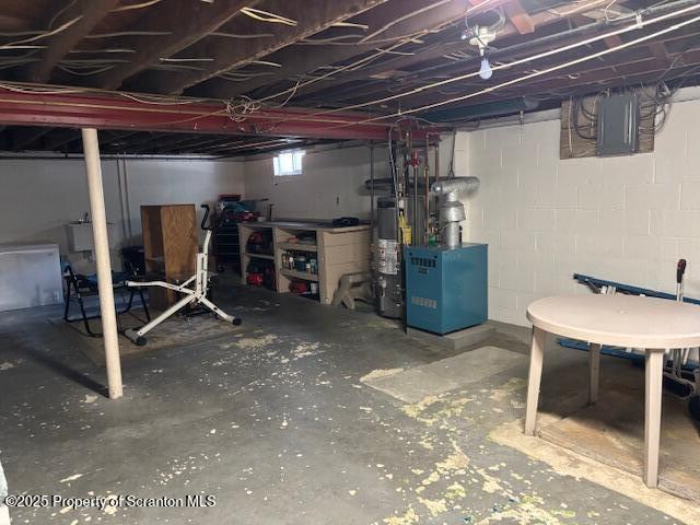 below grade area with electric panel and gas water heater