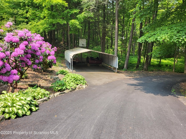 1445 Heart Lake Rd, Scott Twp, PA 18433 - view of asphalt driveway