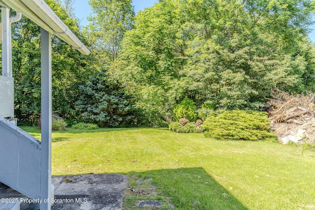 31 Reynshanhurst St, Carbondale, PA 18407 - photo 41