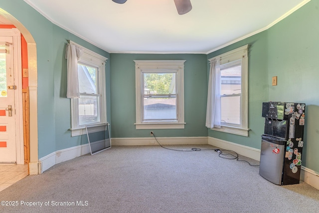 31 Reynshanhurst St, Carbondale, PA 18407 - photo 10