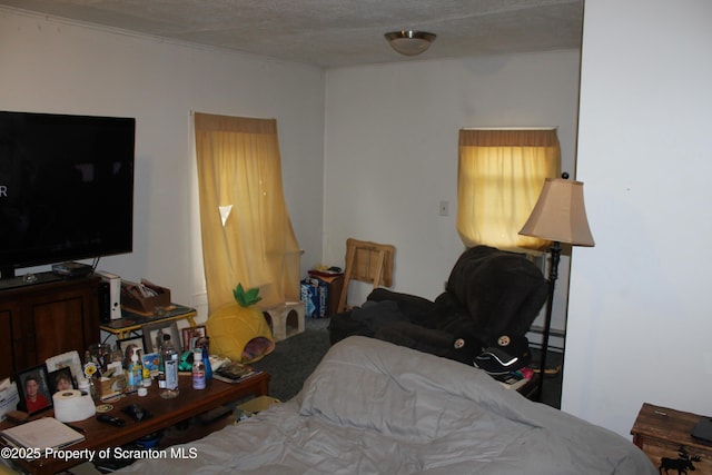 105 College Ave, Factoryville, PA 18419 - photo 22