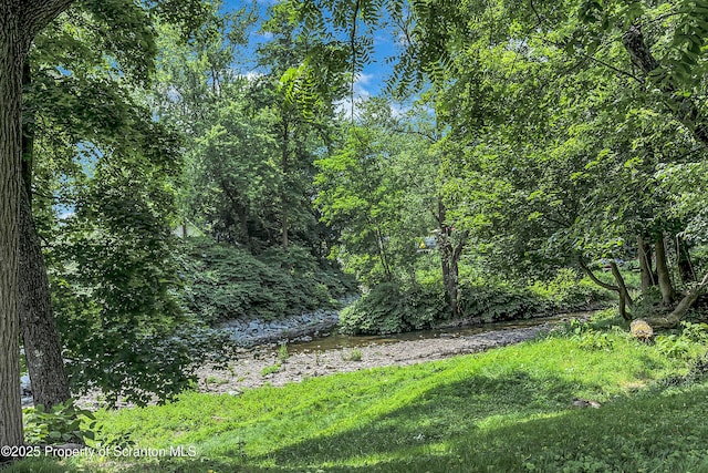 445 Leggett St, Scranton, PA 18508 - view of yard