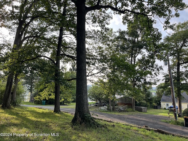 RT307 & Ln, Factoryville, PA 18419 - photo 2