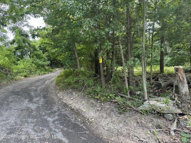 RT307 & Ln, Factoryville, PA 18419 - photo 5