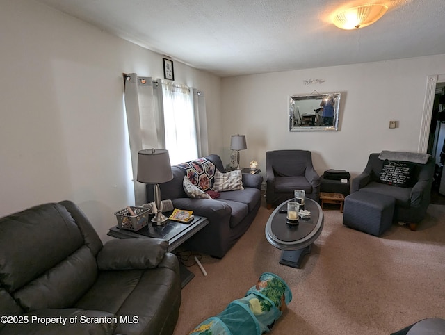 living room featuring carpet flooring and a textured ceiling