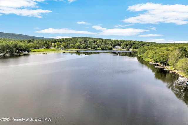 108 Shafran Dr, Lake Ariel, PA 18436 - photo 81