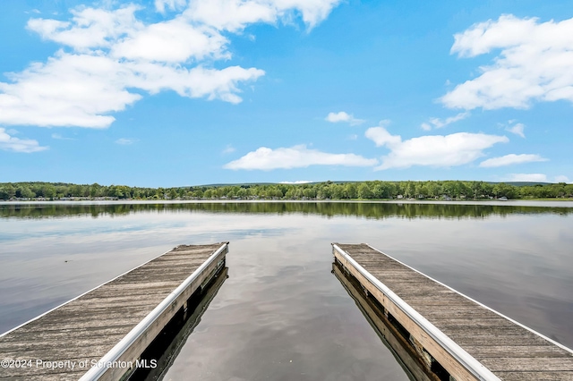 dock area featuring a water view