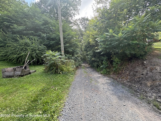 172 Tomko Ave, Hanover Twp, PA 18706 - photo 19