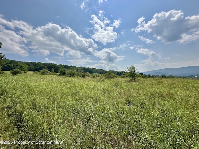 Ezra Ln, Falls, PA 18615 - photo 9