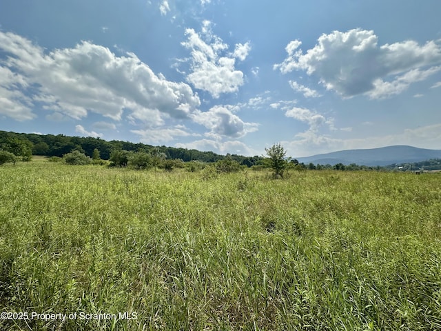 Ezra Ln, Falls, PA 18615 - photo 10