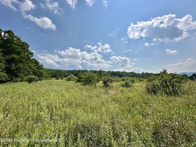 Ezra Ln, Falls, PA 18615 - photo 4
